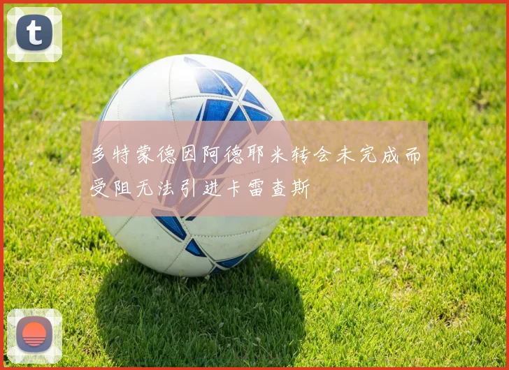 多特蒙德因阿德耶米转会未完成而受阻无法引进卡雷查斯