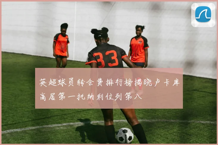 英超球员转会费排行榜揭晓卢卡库高居第一托纳利位列第八